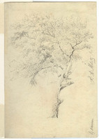 X 080
<br/>
Landschap bij Overveen
<br/>
<em>Milatz, Franciscus Andreas (1764-1808)</em>